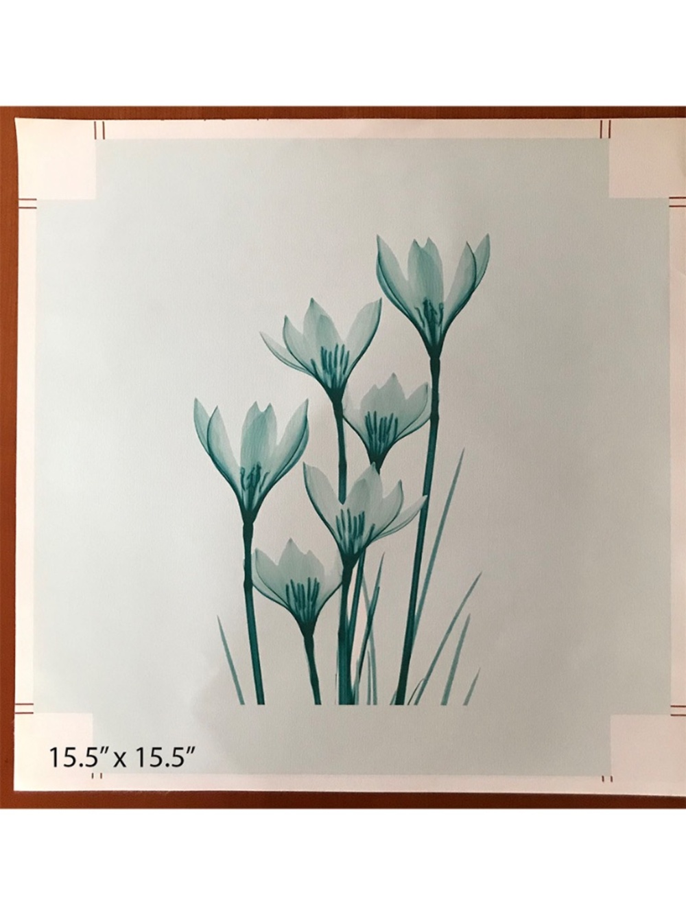 Rain Lily Lithograph Canvas Print
